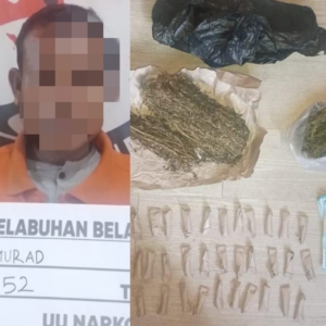Sat Narkoba Polres Pelabuhan Belawan Tangkap Pengedar Ganja di Nelayan Indah