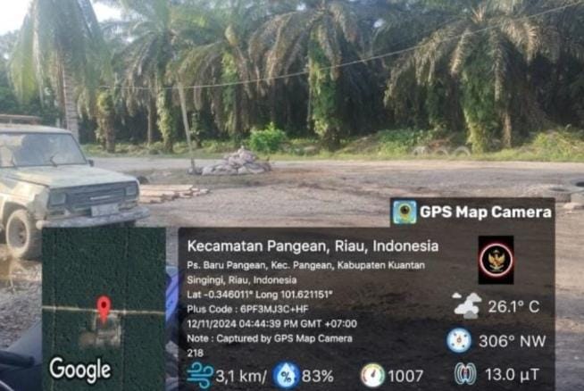Diduga Perkebunan Kelapa Sawit TJS di Kecamatan Pangean Tidak Bayar Pajak dan Kerugian Negara Miliaran.