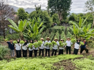 Kolaborasi Pembinaan dan Pemagangan, Lapas Bandanaira Panen Sayur di Lahan SAE