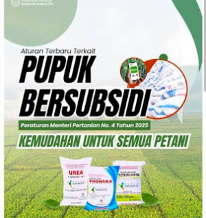 Salah Satu Oknum Agen Pupuk Subsidi Di Purwakarta Jual Di Atas HET, Kadis Pertanian Akan Tindak Tegas