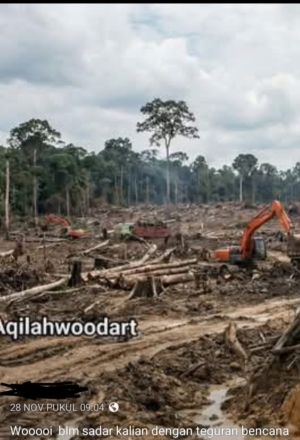 Sumatra Utara Masuk Lima Besar Deforestasi Terparah di Indonesia