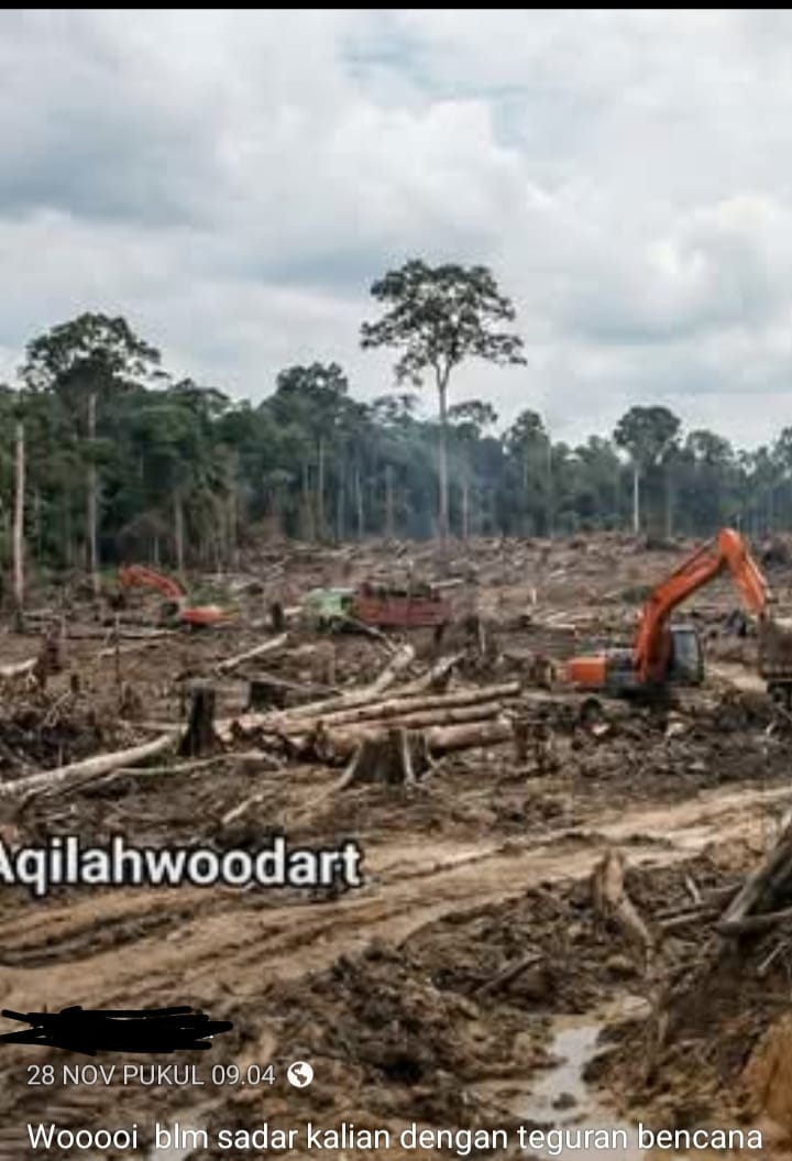 Sumatra Utara Masuk Lima Besar Deforestasi Terparah di Indonesia