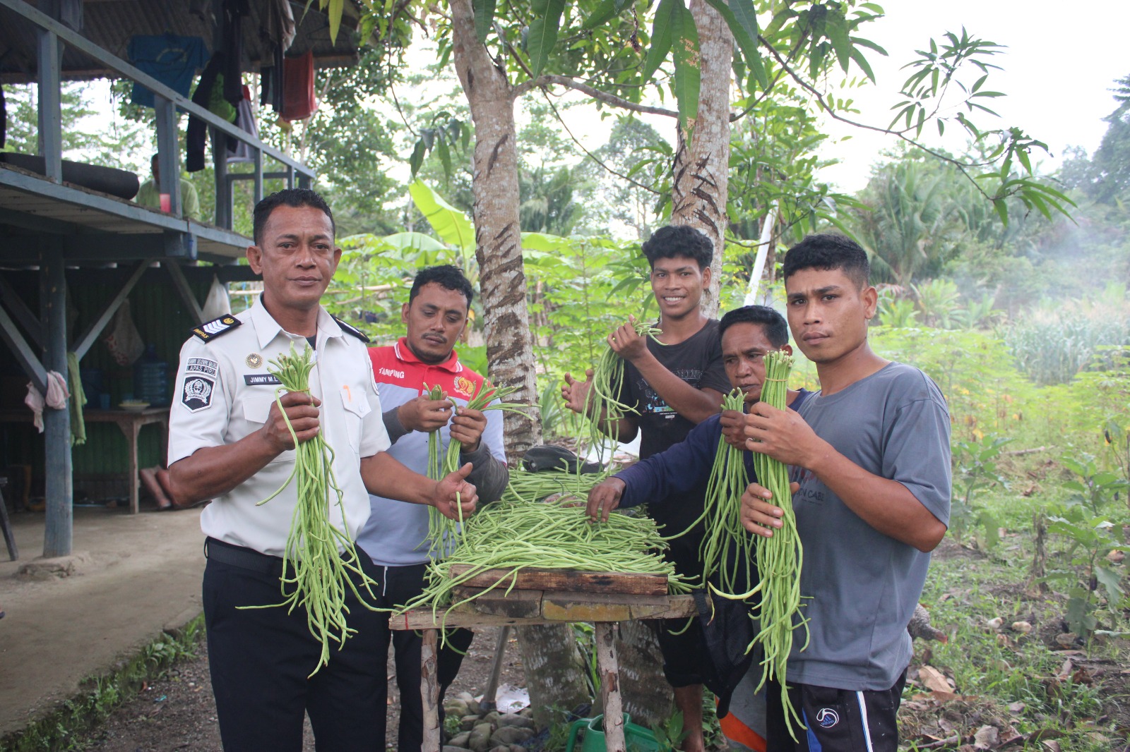 Panen Kacang Panjang, Lapas Piru Dorong Kemandirian Warga Binaan Lewat Kebun Produktif