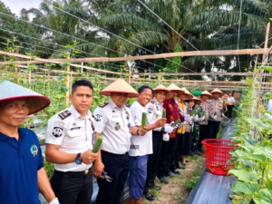 Rutan Kelas I Labuhan Deli Gelar Panen Raya