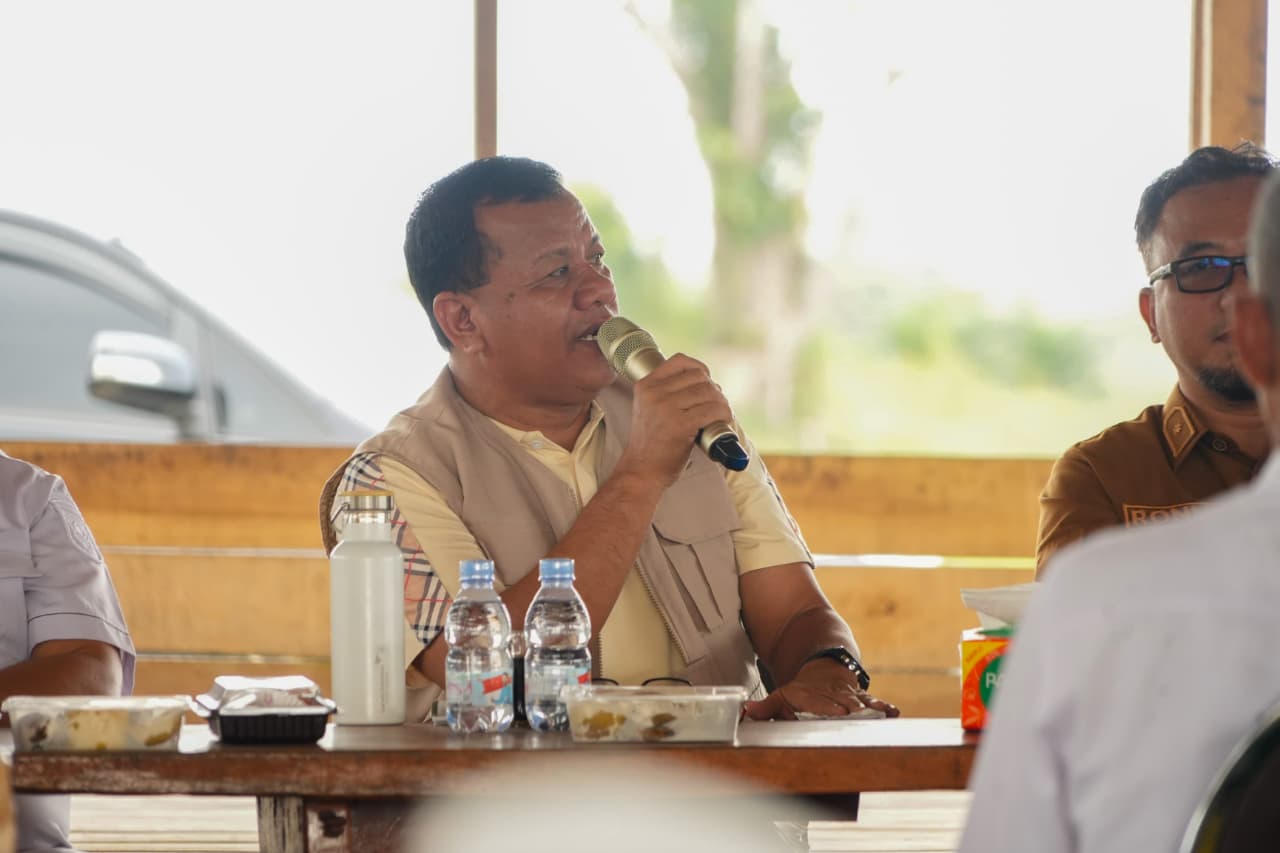 Kuansing Berubah: Bekas Tambang Disulap Jadi Lahan Pertanian Produktif, Bupati Kuansing Dorong Program IP 200