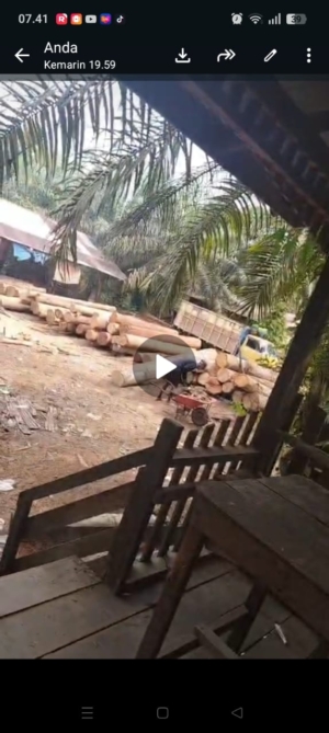 Somel Di Siabu Sorot Diduga Tampa Izin Lengkap : APH dan Dinas Terkait Diminta Bertindak Tegas