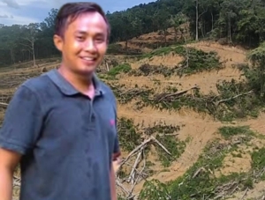 Lapor Kapolda Riau..! Diduga Paruban Arahap Berhasil Gundulkan Kawasan HPT Menjadi Kebun Sawit, Harapan Tangkap dan Selidiki