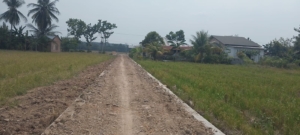Peningkatan Jalan 1500 Rampung, Aktivitas Ekonomi Petani Gebang Berjalan Lancar