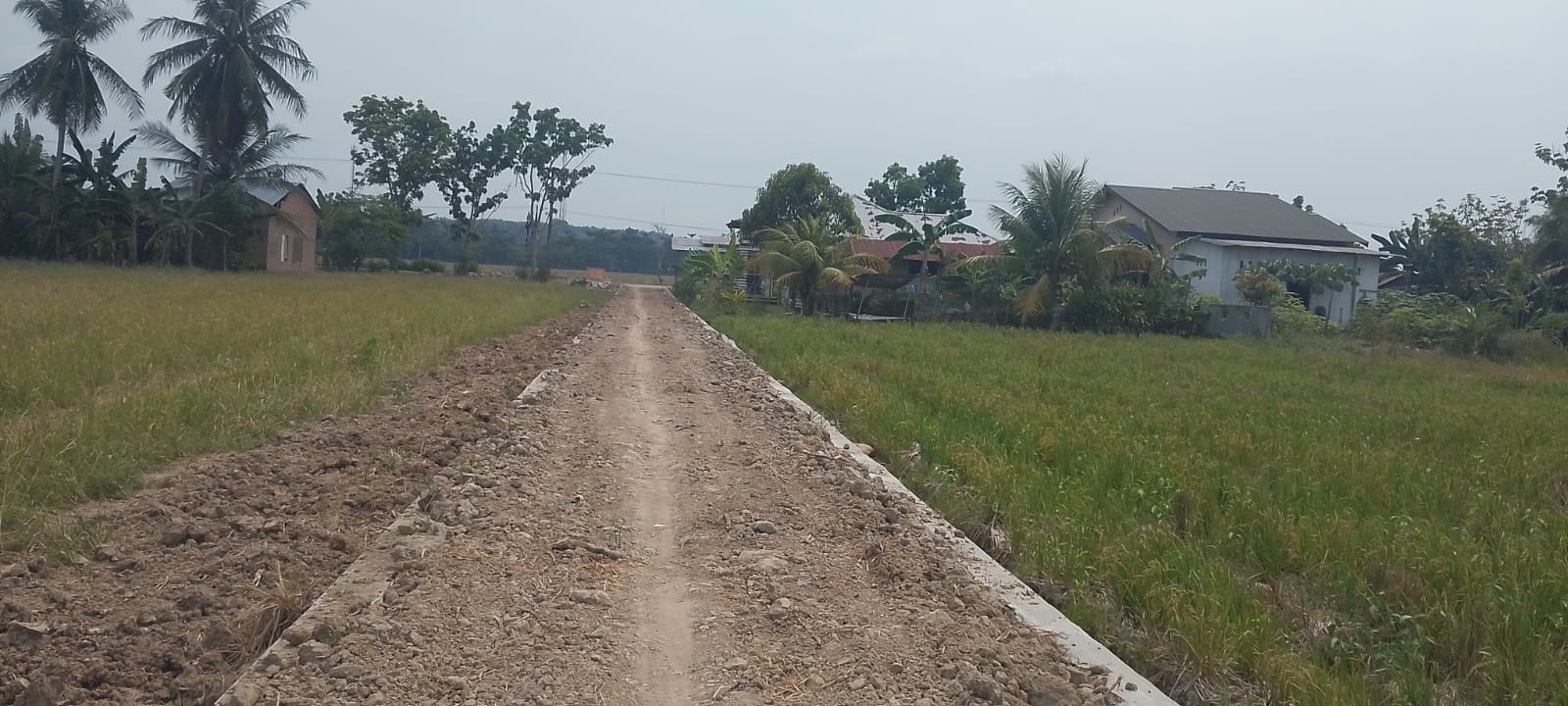 Peningkatan Jalan 1500 Rampung, Aktivitas Ekonomi Petani Gebang Berjalan Lancar