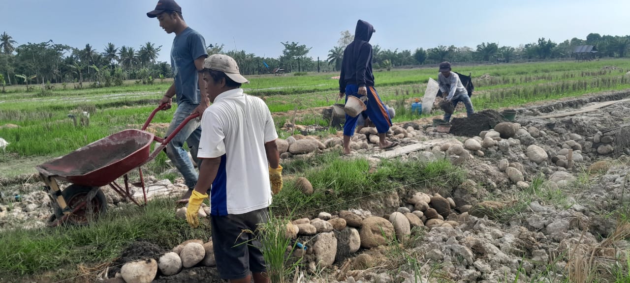 Hari Libur Pembuatan Sumur Bor dan Peningkatan Jalan Terus Dikerjakan Satgas TMMD 128 Kodim 0203/Lkt