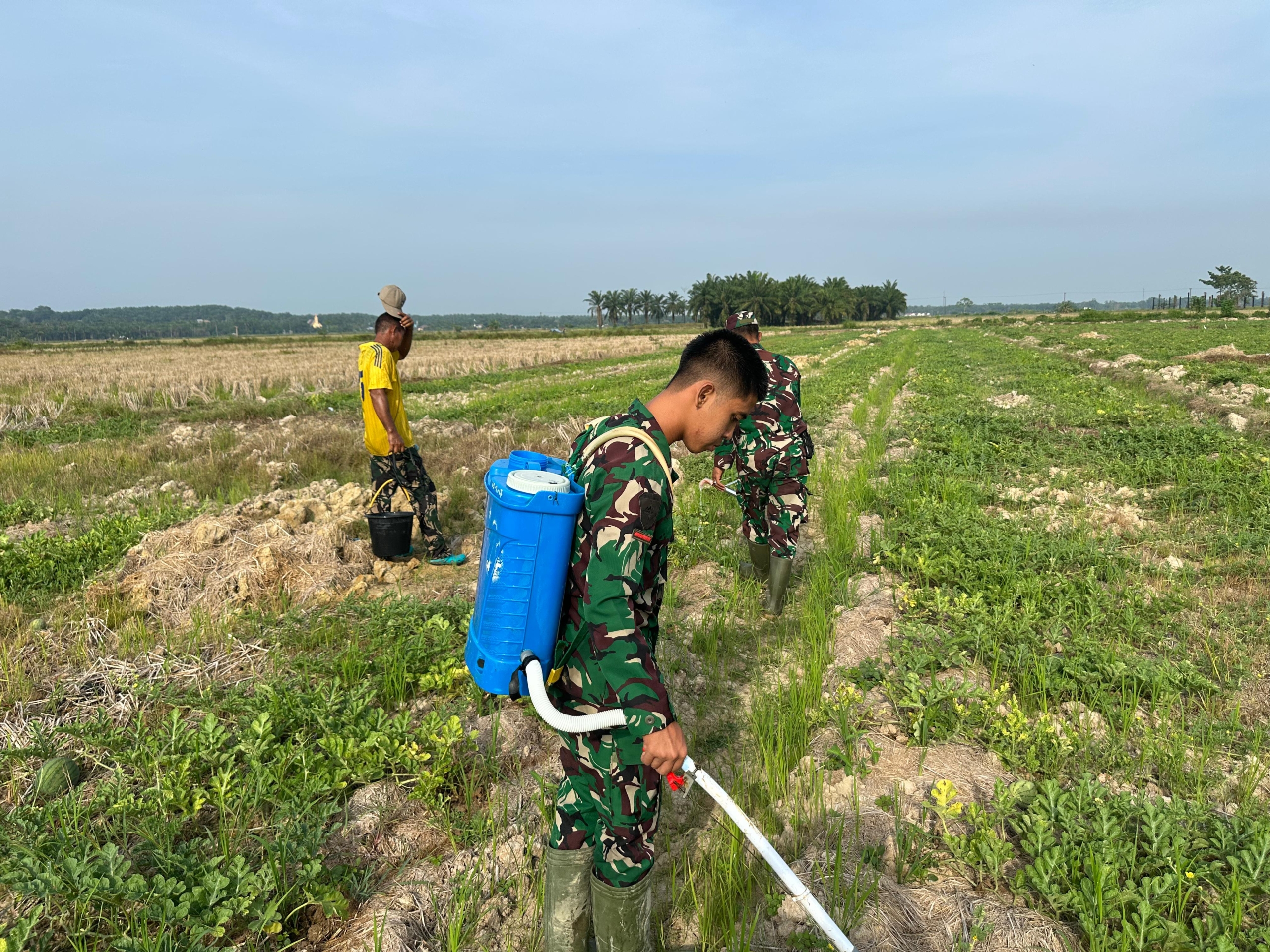 TMMD 128 Sentuh Ketahanan Pangan, TNI Bantu Petani Semangka di Pasar Rawa