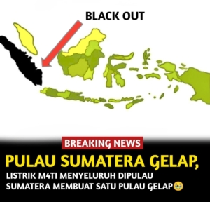 Ombudsman Sumut Desak PLN Segera Pulihkan Listrik Secara Menyeluruh, Bukan Parsial