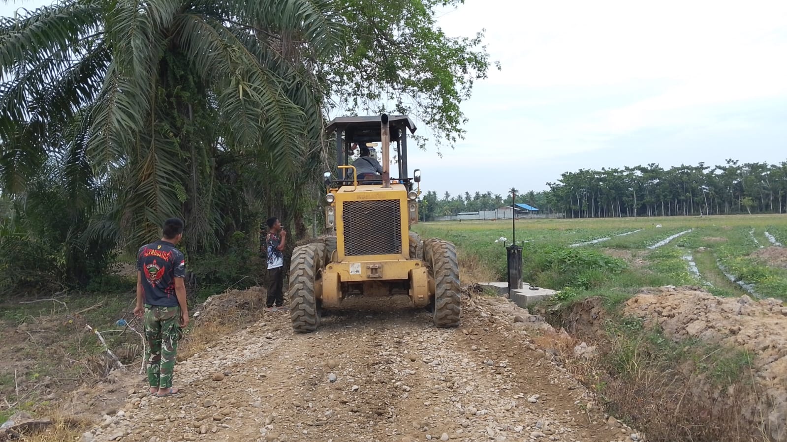 Alat Berat Grader Dikerahkan Melakukan Pengerasan Badan Jalan 1500 M di Pasar Rawa 