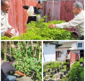Balai Pemasyarakatan Kelas I Palangka Raya Mendukung Program Ketahanan pangan pemanfaatan Lahan  Disulap Menjadi Kebun Sayur Yang Memiliki Nilai Ekonomi 