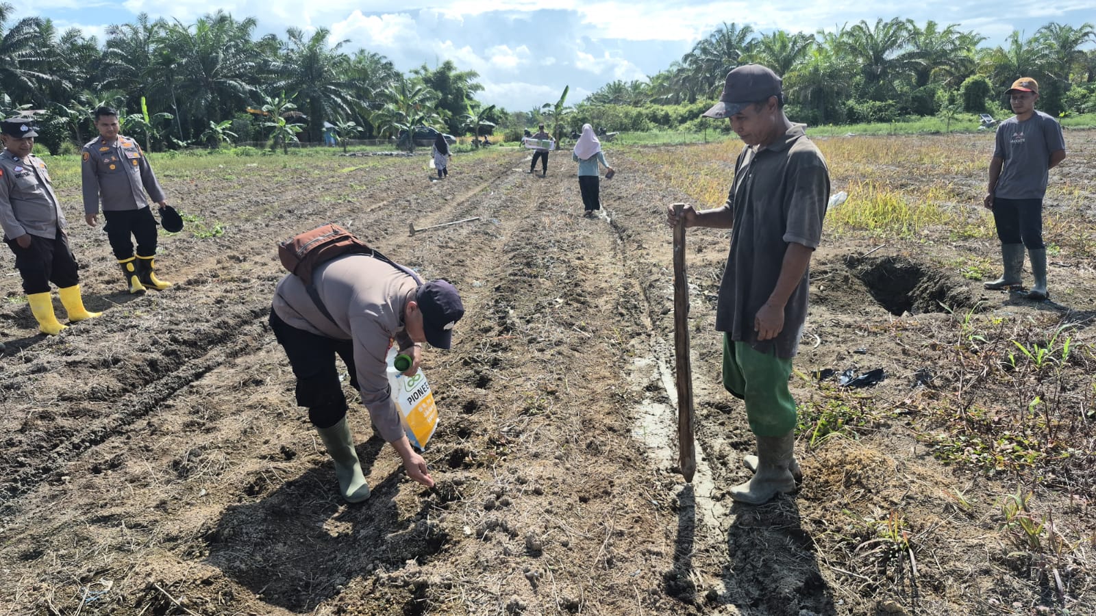 Polsek Sungai Sembilan Tanam Jagung 4 Hektare, Dukung Ketahanan Pangan Nasional 2026