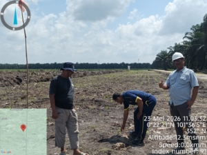 Polsek Siak Hulu Cek Perkembangan Penanaman Jagung Kuartal II Bersama KOPPSA-M di Lahan 10 Hektare