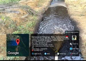 Gawat..! PT PCS: Sehari Pasca Sidak Pemkab Kuansing, Warga Temukan Air Anak Sungai Berubah Gelap, Penegak Hukum Mesti Bertindak 