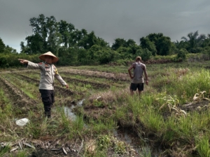 Bhabinkamtibmas Sungai Sembilan Turun ke Lahan, Dampingi Petani Rawat Pekarangan Pangan Bergizi 1.000 Meter Persegi