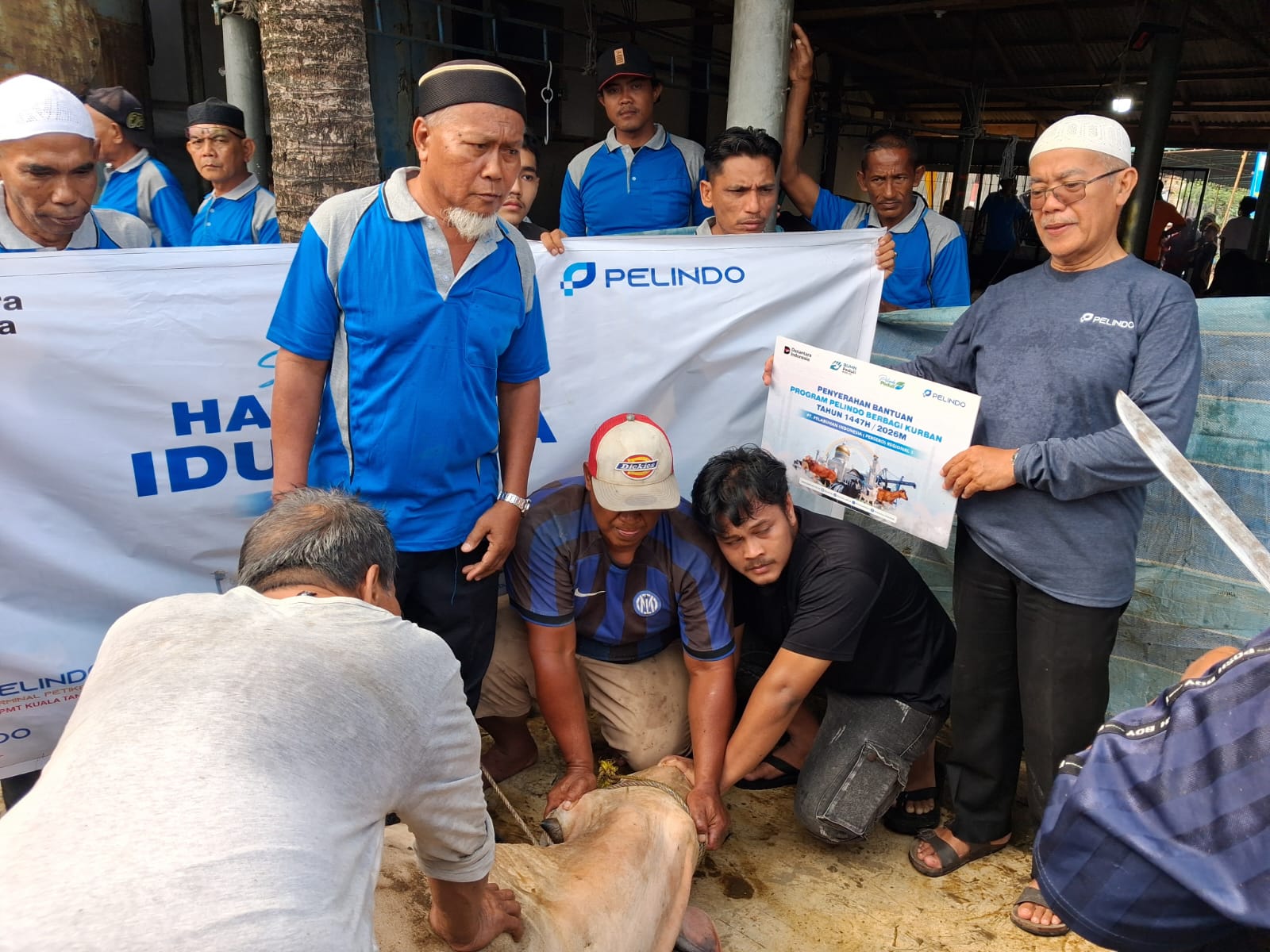 Pelindo Regional 1 Serahkan Hewan Qurban kepada Masjid Sekitar Pelabuhan