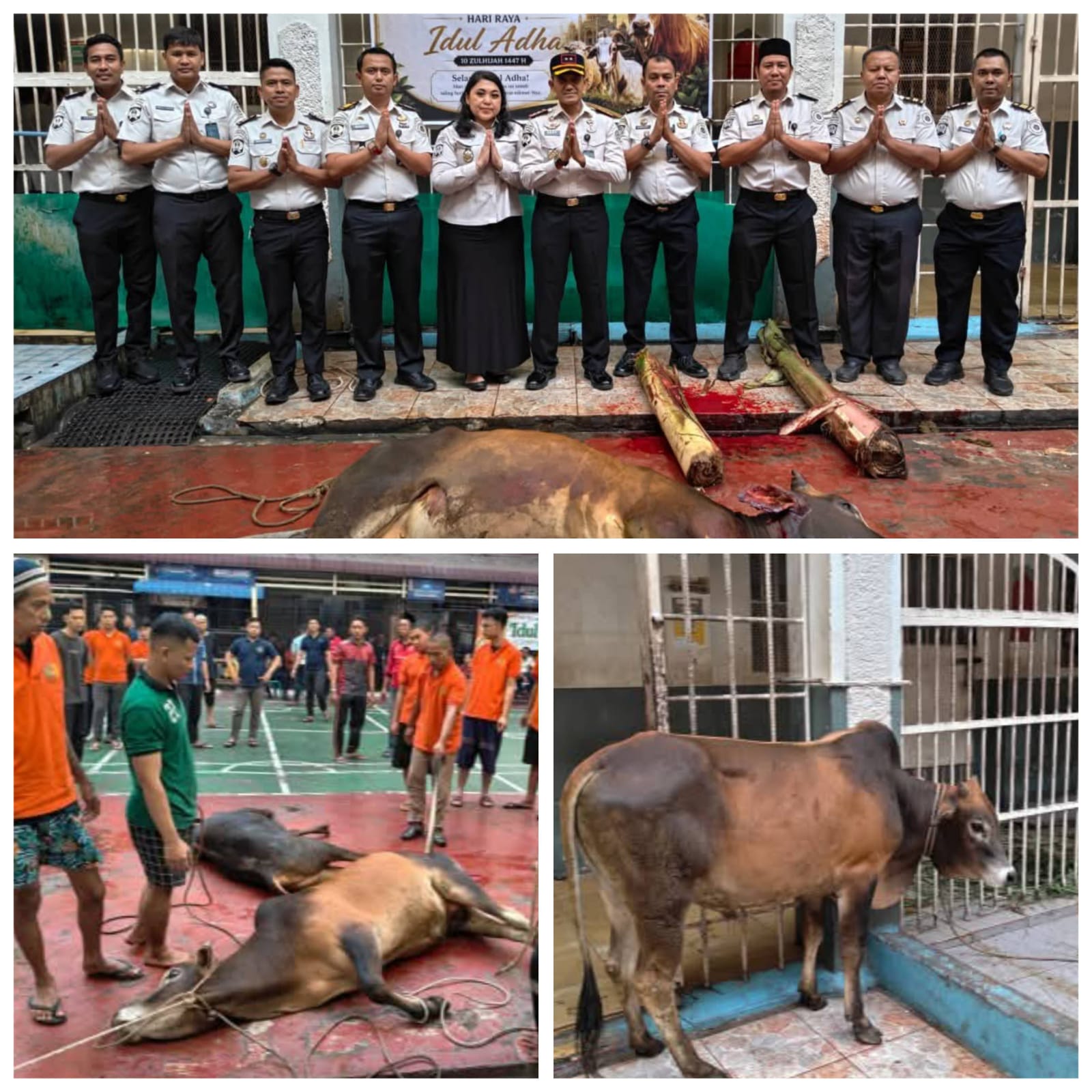 Rutan Kelas I labuhan Deli Memperingati Hari Raya Idul adha 1447 Hijriah Potong Hewan Kurban  sapi 