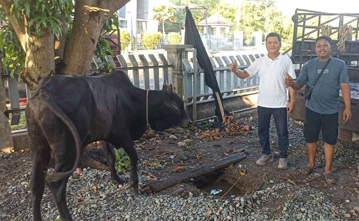 Bnct dan beacukai Belawan Kolaborasi salurkan Hewan Qurban Untuk Masyarakat Belawan