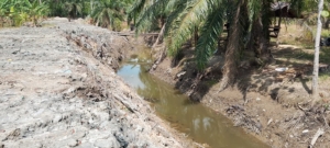 Parit 1,5 Km Dibongkar: TMMD 128 “Menyalakan” Kembali Aliran yang Lama Mati di Pasar Rawa