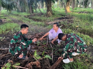 Manfaatkan Waktu Luang, Anggota Satgas TMMD Bantu Warga Meraut Sapu Lidi