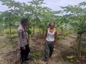 Bhabinkamtibmas Bagan Besar Timur Dampingi Petani, Pastikan Pekarangan Pangan Bergizi Tumbuh Optimal