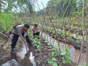 Bhabinkamtibmas Polsek Sungai Sembilan Gencarkan Pendampingan Pekarangan Pangan Bergizi