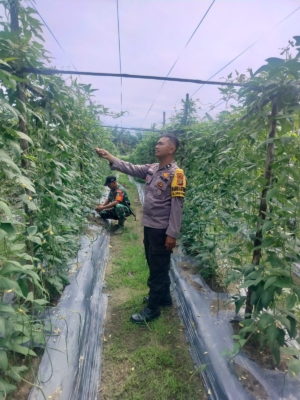 Bhabinkamtibmas dan Petani di Bukit Kapur Perkuat Ketahanan Pangan Nasional