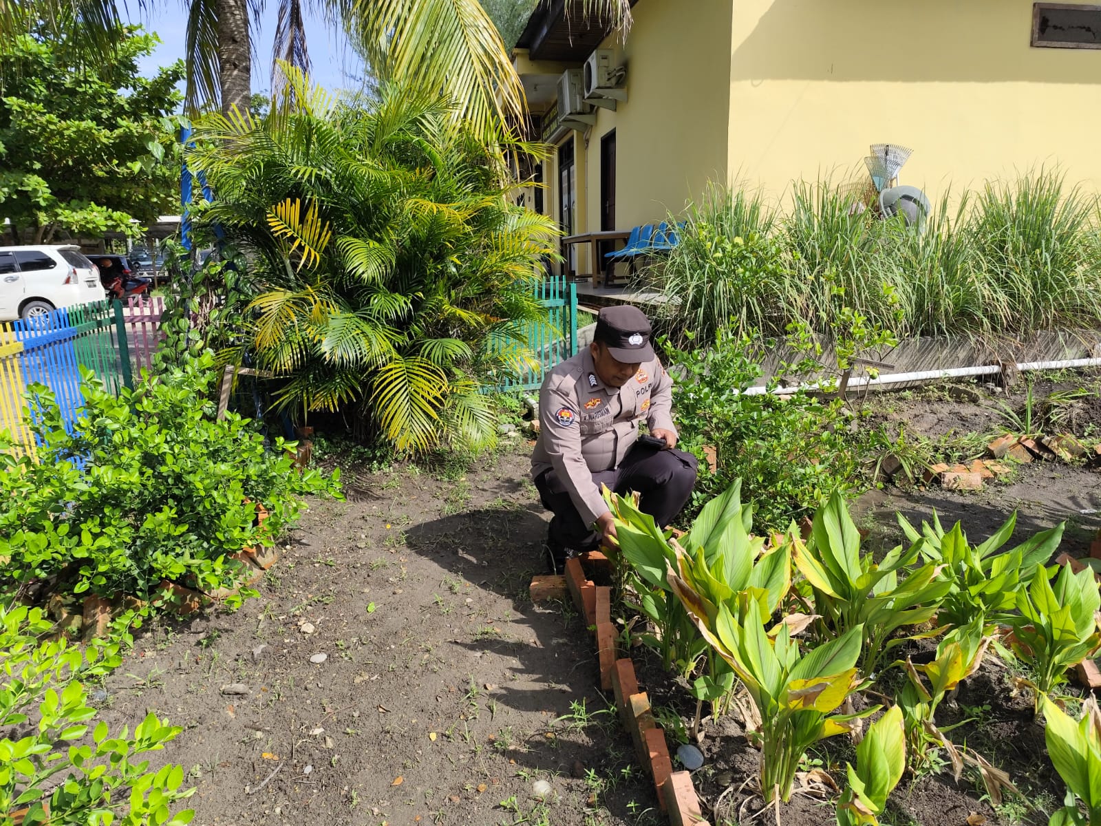 DUKUNG KETAHANAN PANGAN NASIONAL, POLSEK DUMAI TIMUR BERSAMA PETANI CEK PEKARANGAN PANGAN BERGIZI   