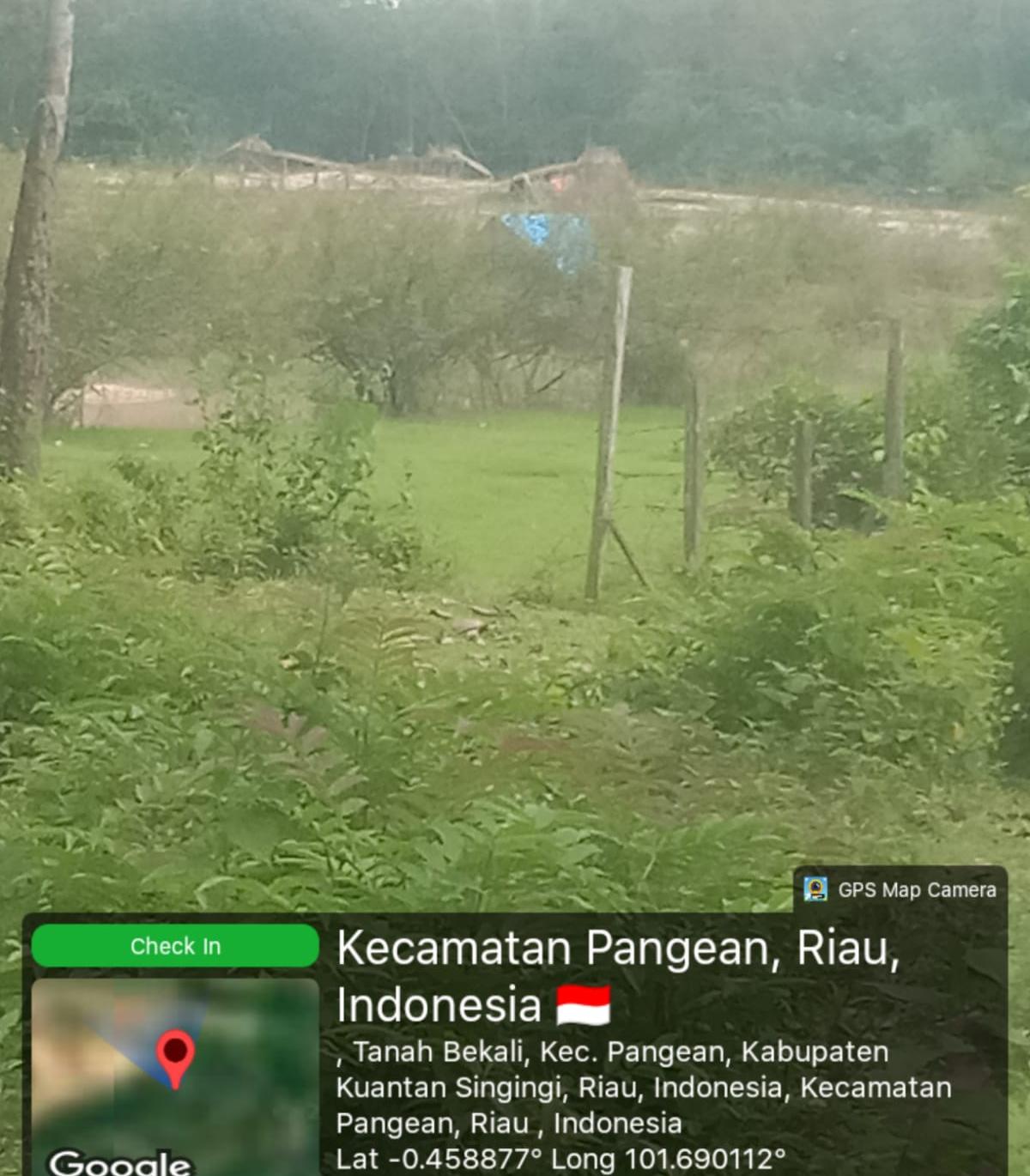 13 PETI di Pangean Kuansing Beraktivitas Menganga, Bekas Galian Terbuka, Aparat Mesti Tangkap Pemiliknya