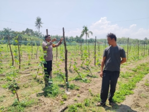 Polsek Sungai Sembilan & Dumai Timur Pantau Pekarangan Pangan Bergizi, Dukung Program Nasional