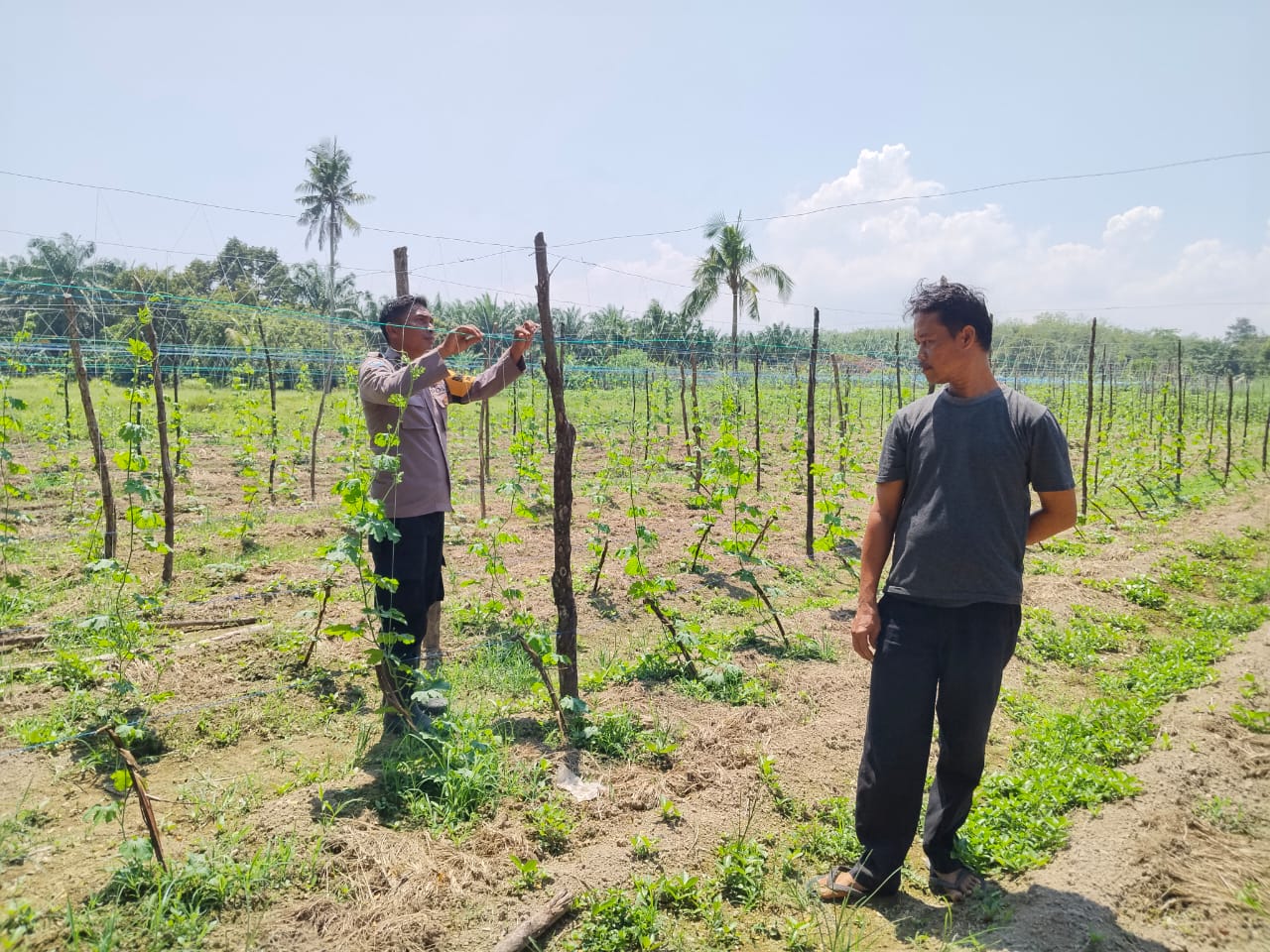Polsek Sungai Sembilan & Dumai Timur Pantau Pekarangan Pangan Bergizi, Dukung Program Nasional