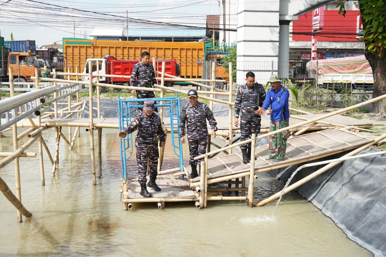 KODAERAL I OPTIMALKAN LAHAN PRODUKTIF, KOMANDAN TINJAU TANAMAN HIDROPONIK DAN KOLAM IKAN PATIN-NILA