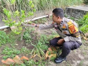 Bhabinkamtibmas Tanjung Palas Dampingi Petani Cek Pekarangan Pangan Bergizi Dukung Ketahanan Pangan Nasional