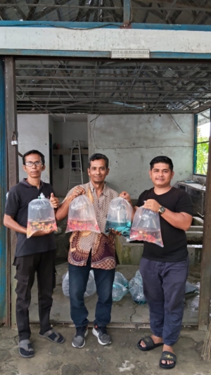 Peran Bantuan Pemerintah dalam Meningkatkan Ketahanan Pangan dan Kesejahteraan Masyarakat