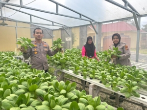 Bhabinkamtibmas Bukit Batrem Pantau Pekarangan Pangan Bergizi, Dukung Ketahanan Pangan Nasional