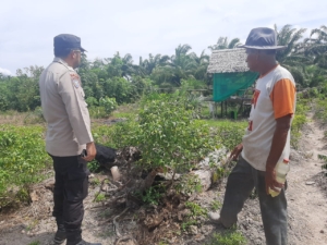 Bhabinkamtibmas Sungai Sembilan Aktif Dampingi Petani, Pastikan Pekarangan Pangan Produktif Dukung Ketahanan Pangan Nasional