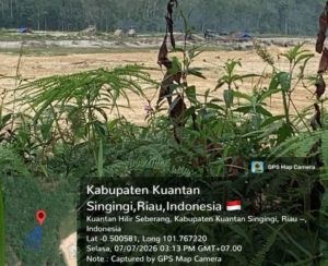 LAPOR KAPOLSEK..! Puluhan PETI Diduga Beroperasi di Sungai Kukok dan Bukit Petai Devisi 11 Kuantan Hilir Seberang