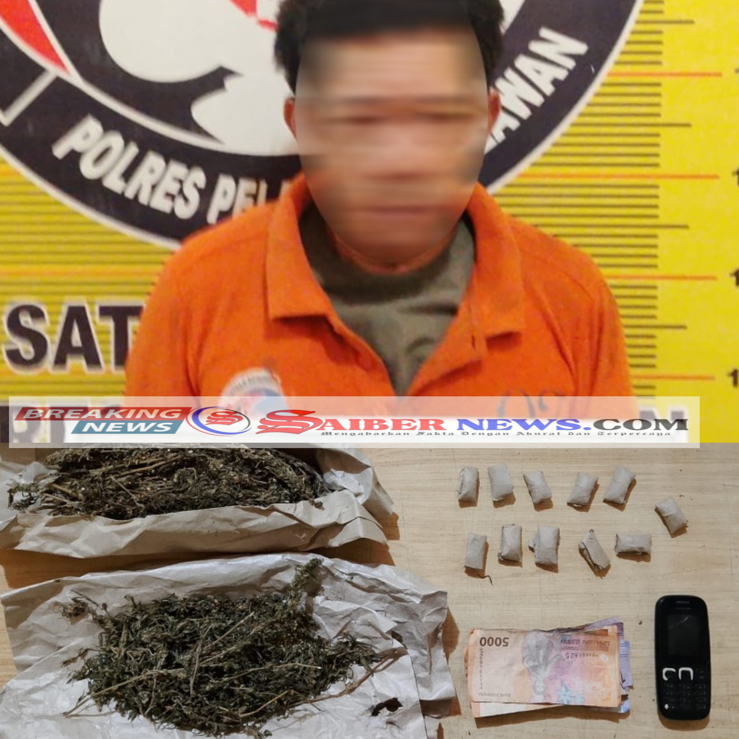 Sat Narkoba Polres Pelabuhan Belawan Tangkap Pengedar Ganja di Hamparan Perak