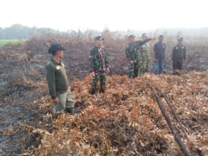 Terjunkan 11 Pamen Tiga Matra, TNI Masifkan Edukasi Cegah Karhutla di OKI