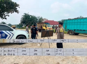 Usut Tuntas: Diduga Buah dari Kawasan TNTN Muncul Lagi, Polres Kuansing Bertindak, Buah Kawasan Bisa Hancurkan Harga TBS Legal