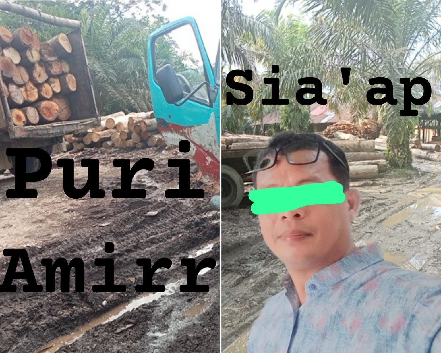 Police Line Tandanya Ilegal, Sawmill di Desa Kasang Kembali Menggila, KPH Singingi Tak Berkutik, Diduga Pemilik Sia’ap, Amir dan Puri