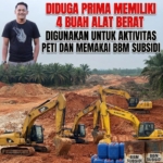 Prima Diduga Kuasai 4 Excavator SANY, CAT, Liugong, Sumitomo Untuk Aktivitas PETI dan Seruput BBM Subsidi