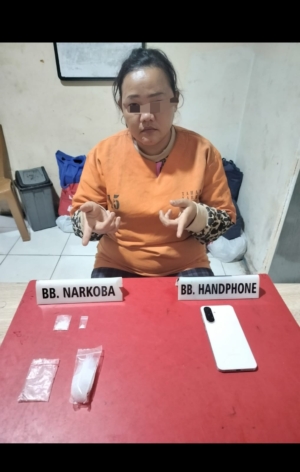 Satresnarkoba Polres Kampar Tangkap IRT Jual Sabu-sabu di Desa Bukit Kemuning