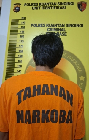 Tim Elang Kuantan Kembangkan Kasus, Sabu 38,59 Gram Diamankan dari Pengedar di Muara Langsat