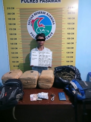 Polsek Bonjol Tangkap Dua Kurir Ganja, 23 Kilogram Barang Bukti Diamankan