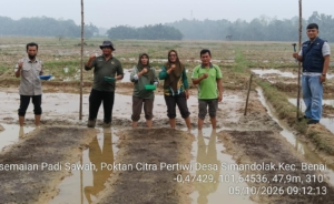 Kepemimpinan Pikri di Simandolak: Dari Sawah Setahun Sekali Kini Panen 3 Kali Setahun, Alur Kedepannya Sejalan dengan Program Presiden RI