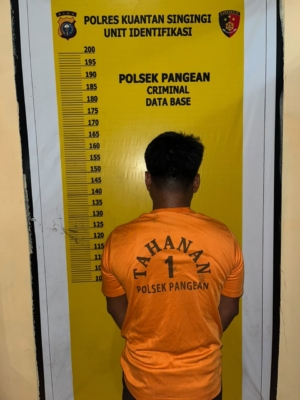 Polsek Pangean Tangkap Pria Berinisial FW, 20 Paket Sabu berat kotor 6,36 Gram Disita